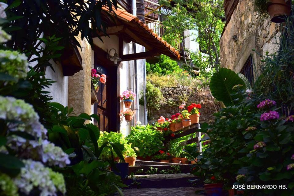 Gasthaus Casa Rural Amparo Mogarraz Exterior foto